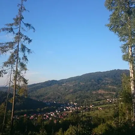 Leniwy Motyl